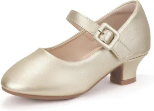 Hehainom Girls Dress Shoes Low Heels Mary Jane Flower Girl Wedding Party Communion Toddler Kids Heels