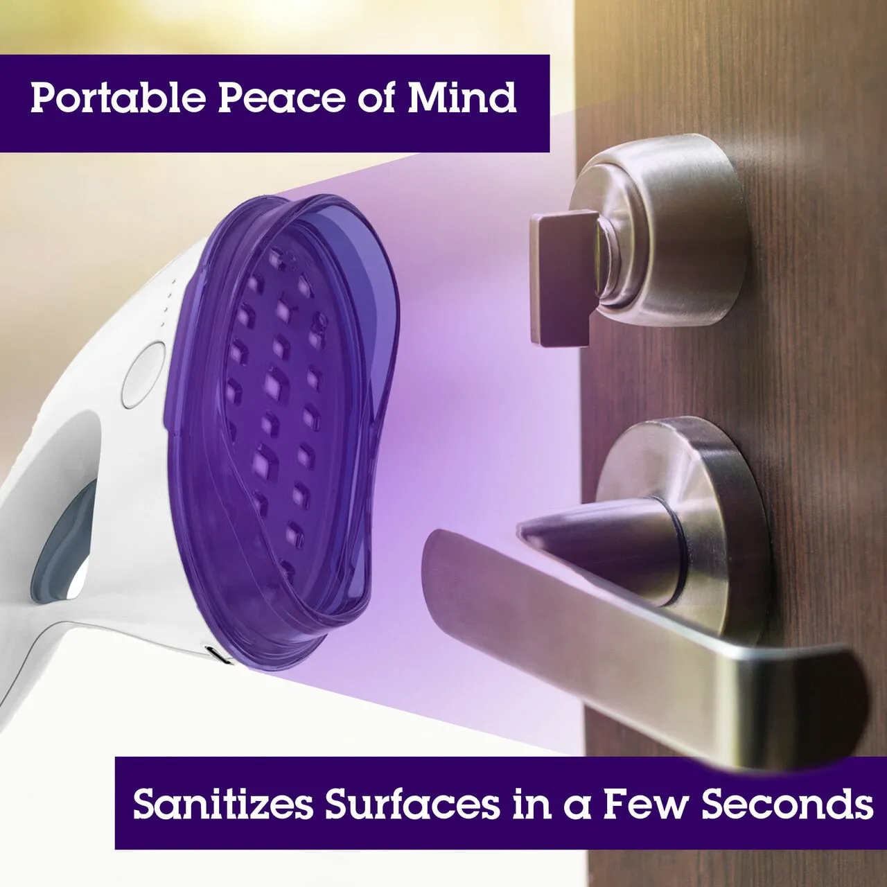 Portable UV Light Sanitizer System
