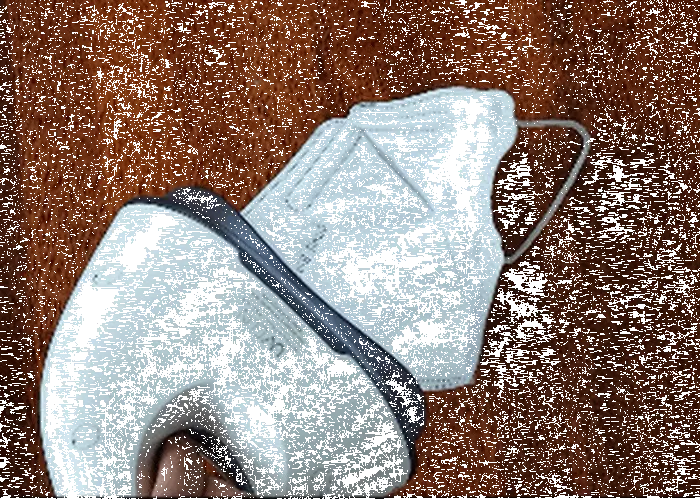 Portable UV Light Sanitizer System