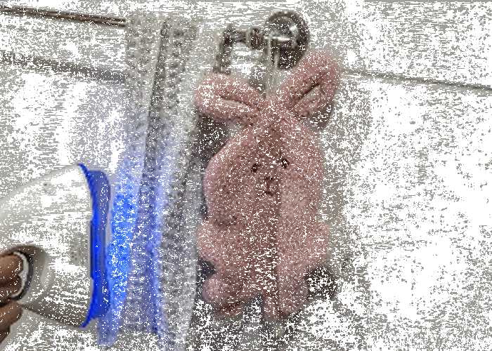 Portable UV Light Sanitizer System